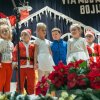 Vianočné Bojničky 2017