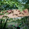 20190621-_DSC3784