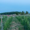 20190621-_DSC3834